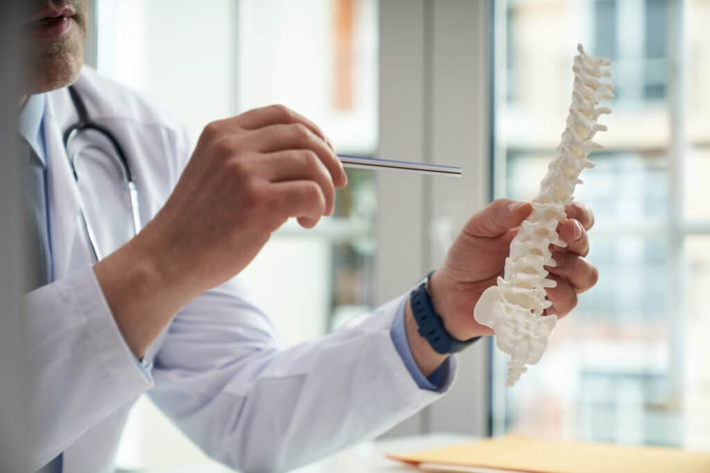 Doctor holding a model of a human spine